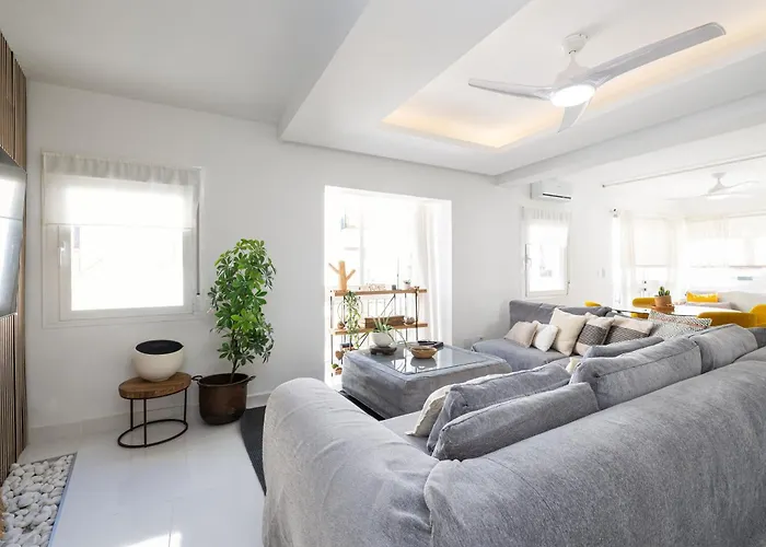 Flores Centro By Aora